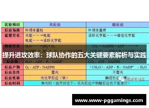 提升进攻效率：球队协作的五大关键要素解析与实践