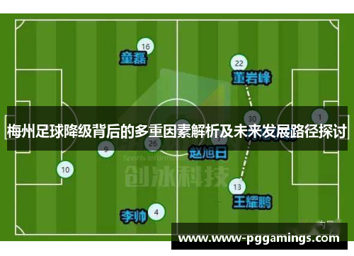 梅州足球降级背后的多重因素解析及未来发展路径探讨