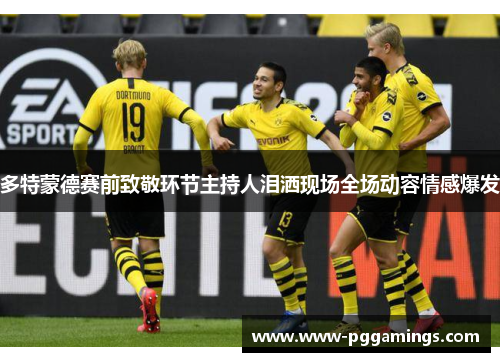 多特蒙德赛前致敬环节主持人泪洒现场全场动容情感爆发