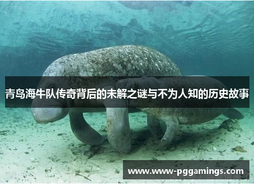 青岛海牛队传奇背后的未解之谜与不为人知的历史故事