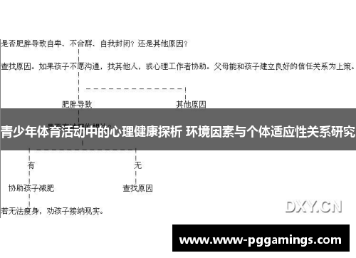 青少年体育活动中的心理健康探析 环境因素与个体适应性关系研究