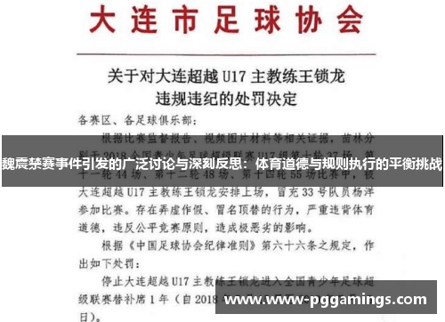 魏震禁赛事件引发的广泛讨论与深刻反思：体育道德与规则执行的平衡挑战