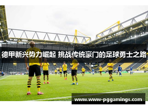 德甲新兴势力崛起 挑战传统豪门的足球勇士之路