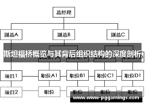 斯坦福桥概览与其背后组织结构的深度剖析