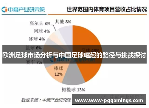 欧洲足球市场分析与中国足球崛起的路径与挑战探讨